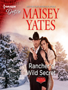 Cover image for Rancher's Wild Secret